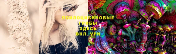 прущие крисы Арсеньев