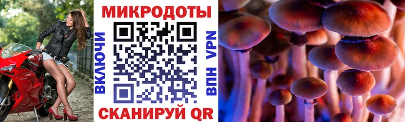 Галлюциногенные грибы Magic Shrooms где найти наркотики Первомайск